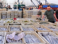 Seafood lifted ashore fills the dock at Jimiya Fishing Port in the West Coast New area of Qingdao, Shandong province, China, on September 28...