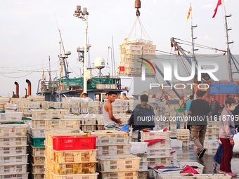 Seafood lifted ashore fills the dock at Jimiya Fishing Port in the West Coast New area of Qingdao, Shandong province, China, on September 28...