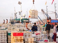 Seafood lifted ashore fills the dock at Jimiya Fishing Port in the West Coast New area of Qingdao, Shandong province, China, on September 28...