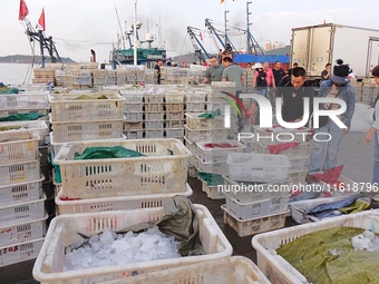 Seafood lifted ashore fills the dock at Jimiya Fishing Port in the West Coast New area of Qingdao, Shandong province, China, on September 28...