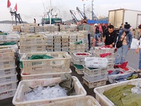 Seafood lifted ashore fills the dock at Jimiya Fishing Port in the West Coast New area of Qingdao, Shandong province, China, on September 28...