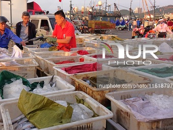 Seafood lifted ashore fills the dock at Jimiya Fishing Port in the West Coast New area of Qingdao, Shandong province, China, on September 28...