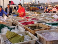 Seafood lifted ashore fills the dock at Jimiya Fishing Port in the West Coast New area of Qingdao, Shandong province, China, on September 28...