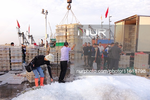 Seafood lifted ashore fills the dock at Jimiya Fishing Port in the West Coast New area of Qingdao, Shandong province, China, on September 28...