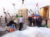 Seafood lifted ashore fills the dock at Jimiya Fishing Port in the West Coast New area of Qingdao, Shandong province, China, on September 28...