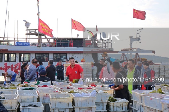 Seafood lifted ashore fills the dock at Jimiya Fishing Port in the West Coast New area of Qingdao, Shandong province, China, on September 28...