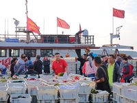 Seafood lifted ashore fills the dock at Jimiya Fishing Port in the West Coast New area of Qingdao, Shandong province, China, on September 28...