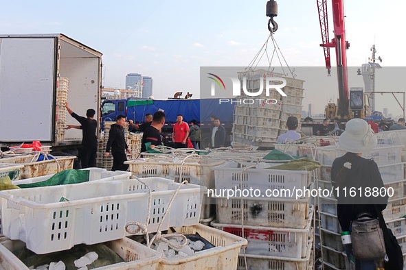 Seafood lifted ashore fills the dock at Jimiya Fishing Port in the West Coast New area of Qingdao, Shandong province, China, on September 28...