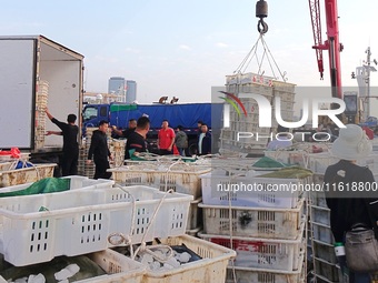 Seafood lifted ashore fills the dock at Jimiya Fishing Port in the West Coast New area of Qingdao, Shandong province, China, on September 28...