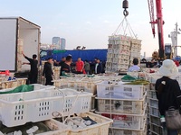 Seafood lifted ashore fills the dock at Jimiya Fishing Port in the West Coast New area of Qingdao, Shandong province, China, on September 28...