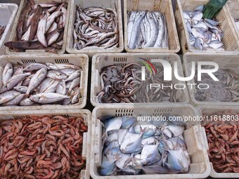 Various kinds of seafood are displayed on the dock at Jimiya Fishing Port in the West Coast New Area of Qingdao, Shandong province, China, o...