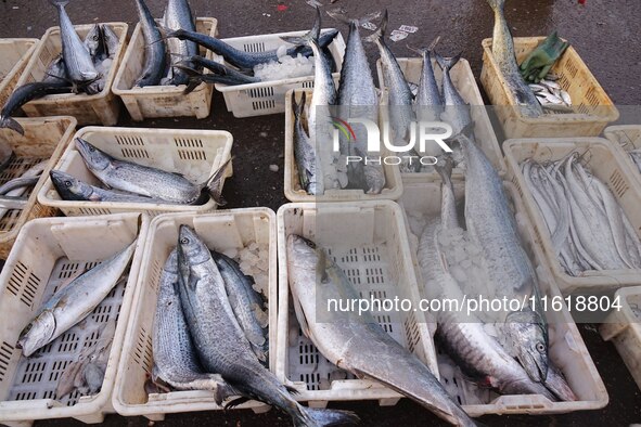 Spanish mackerel are seen on the dock at Jimiya Fishing port in the West Coast New Area of Qingdao, Shandong province, China, on September 2...