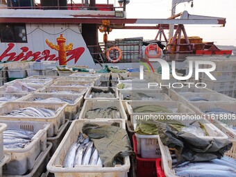 Seafood lifted ashore fills the dock at Jimiya Fishing Port in the West Coast New area of Qingdao, Shandong province, China, on September 28...