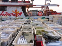 Seafood lifted ashore fills the dock at Jimiya Fishing Port in the West Coast New area of Qingdao, Shandong province, China, on September 28...