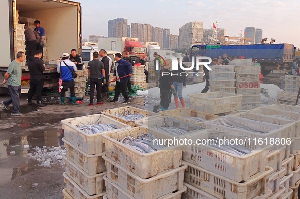 Seafood lifted ashore fills the dock at Jimiya Fishing Port in the West Coast New area of Qingdao, Shandong province, China, on September 28...