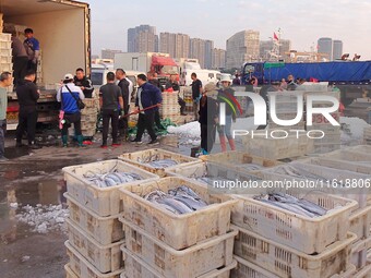 Seafood lifted ashore fills the dock at Jimiya Fishing Port in the West Coast New area of Qingdao, Shandong province, China, on September 28...