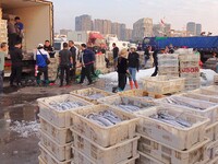 Seafood lifted ashore fills the dock at Jimiya Fishing Port in the West Coast New area of Qingdao, Shandong province, China, on September 28...