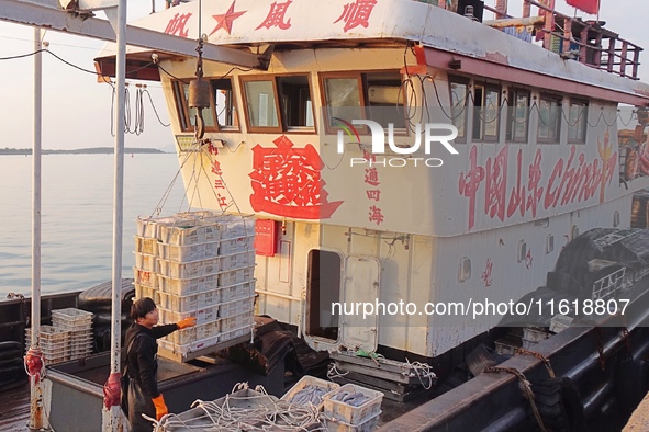 Seafood lifted ashore fills the dock at Jimiya Fishing Port in the West Coast New area of Qingdao, Shandong province, China, on September 28...