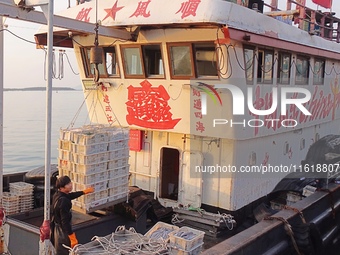 Seafood lifted ashore fills the dock at Jimiya Fishing Port in the West Coast New area of Qingdao, Shandong province, China, on September 28...