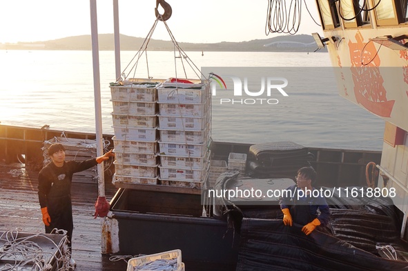 Seafood lifted ashore fills the dock at Jimiya Fishing Port in the West Coast New area of Qingdao, Shandong province, China, on September 28...