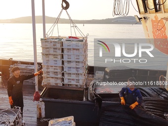 Seafood lifted ashore fills the dock at Jimiya Fishing Port in the West Coast New area of Qingdao, Shandong province, China, on September 28...