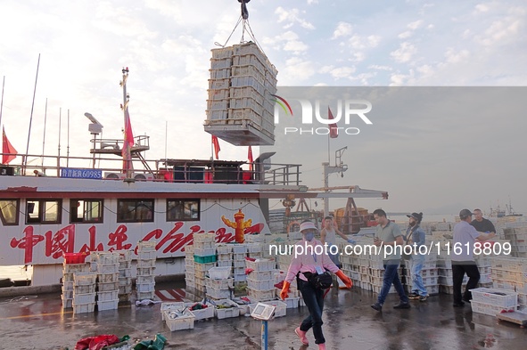 Seafood lifted ashore fills the dock at Jimiya Fishing Port in the West Coast New area of Qingdao, Shandong province, China, on September 28...