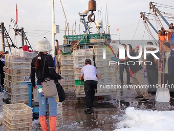 Seafood lifted ashore fills the dock at Jimiya Fishing Port in the West Coast New area of Qingdao, Shandong province, China, on September 28...