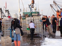 Seafood lifted ashore fills the dock at Jimiya Fishing Port in the West Coast New area of Qingdao, Shandong province, China, on September 28...