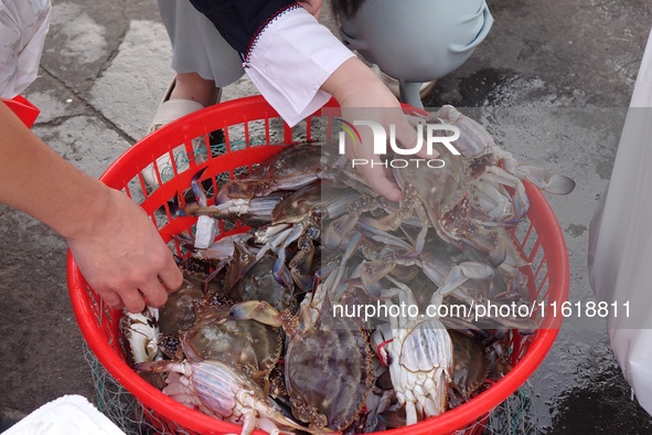 People shop for crabs at Jimiya fishing port in the West Coast New Area of Qingdao, Shandong province, China, on September 28, 2024. 