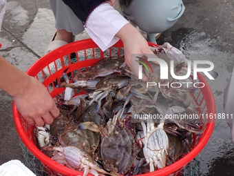 People shop for crabs at Jimiya fishing port in the West Coast New Area of Qingdao, Shandong province, China, on September 28, 2024. (