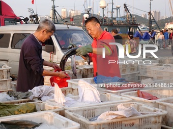 Seafood lifted ashore fills the dock at Jimiya Fishing Port in the West Coast New area of Qingdao, Shandong province, China, on September 28...