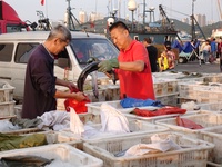 Seafood lifted ashore fills the dock at Jimiya Fishing Port in the West Coast New area of Qingdao, Shandong province, China, on September 28...