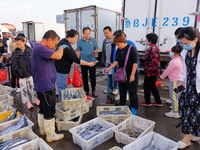 Citizens buy seafood at Jimiya Fishing Port in the West Coast New Area of Qingdao, Shandong province, China, on September 28, 2024. (