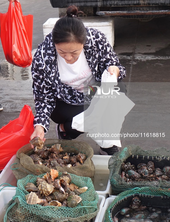 People shop for conch at Jimiya Fishing Port in the West Coast New Area of Qingdao, Shandong province, China, on September 28, 2024. 