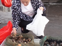 People shop for conch at Jimiya Fishing Port in the West Coast New Area of Qingdao, Shandong province, China, on September 28, 2024. (