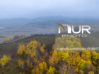 Tourists view the autumn scenery at Ulan Butong scenic spot in Chifeng, China, on September 27, 2024. (