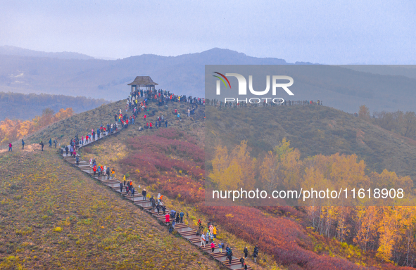 Tourists view the autumn scenery at Ulan Butong scenic spot in Chifeng, China, on September 27, 2024. 