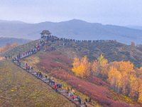 Tourists view the autumn scenery at Ulan Butong scenic spot in Chifeng, China, on September 27, 2024. (