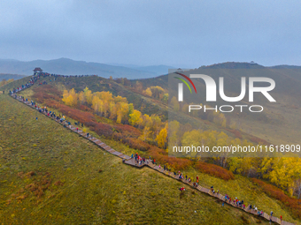 Tourists view the autumn scenery at Ulan Butong scenic spot in Chifeng, China, on September 27, 2024. (