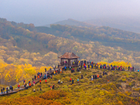 Tourists view the autumn scenery at Ulan Butong scenic spot in Chifeng, China, on September 27, 2024. (