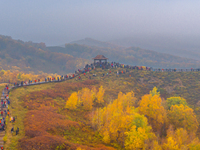 Tourists view the autumn scenery at Ulan Butong scenic spot in Chifeng, China, on September 27, 2024. (