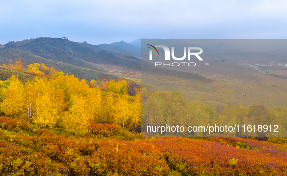 Tourists view the autumn scenery at Ulan Butong scenic spot in Chifeng, China, on September 27, 2024. 