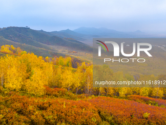 Tourists view the autumn scenery at Ulan Butong scenic spot in Chifeng, China, on September 27, 2024. (