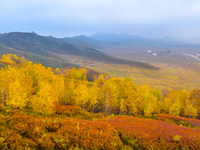 Tourists view the autumn scenery at Ulan Butong scenic spot in Chifeng, China, on September 27, 2024. (