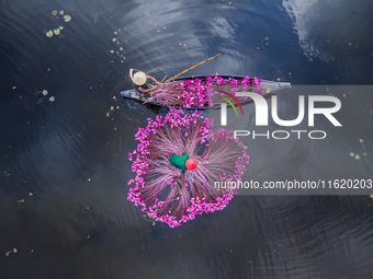 An aerial view shows farmers collecting water lilies in Satla Union, Uzirpur Upazila of Barisal city in Bangladesh on September 29, 2024. Wa...