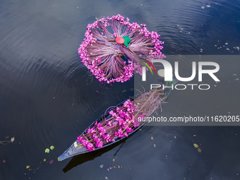 An aerial view shows farmers collecting water lilies in Satla Union, Uzirpur Upazila of Barisal city in Bangladesh on September 29, 2024. Wa...