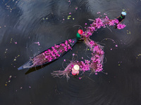 An aerial view shows farmers collecting water lilies in Satla Union, Uzirpur Upazila of Barisal city in Bangladesh on September 29, 2024. Wa...