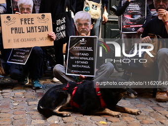 Protesters call for the release of Paul Watson from the Sea Shepherd association in Lyon, France, on September 29, 2024. (