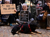 Protesters call for the release of Paul Watson from the Sea Shepherd association in Lyon, France, on September 29, 2024. (