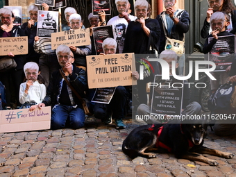 Protesters call for the release of Paul Watson from the Sea Shepherd association in Lyon, France, on September 29, 2024. (